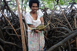 Study Finds Tropical Cyclone Winston Damaged Fisheries as Well as Homes in Fiji